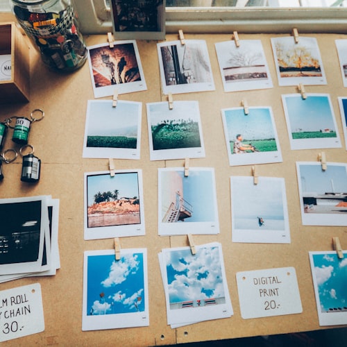 Art Display Accessories